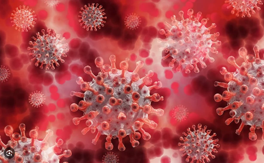 “Disease X is as infectious as measles with the fatality rate of Ebola”, warns UK based health expert