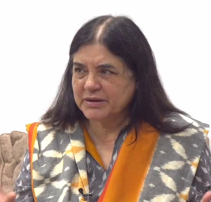 “ISKCON is the biggest cheat in India, no one has sold as many cattle to the butchers as they did”, alleges BJP MP Maneka Gandhi