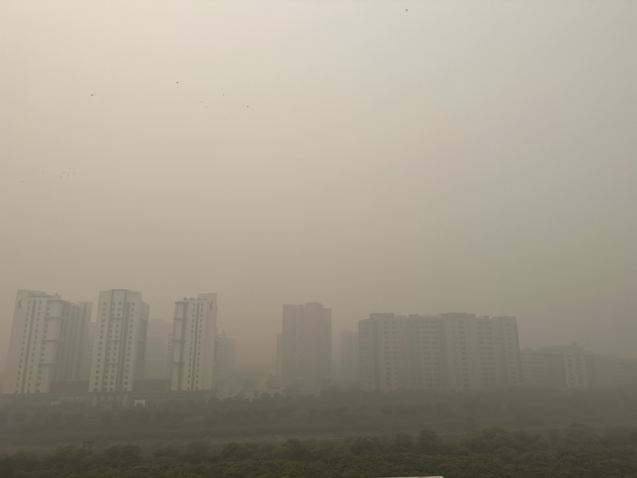 Delhi faces severe air quality crisis post-Diwali, earns the title of the world's most polluted city