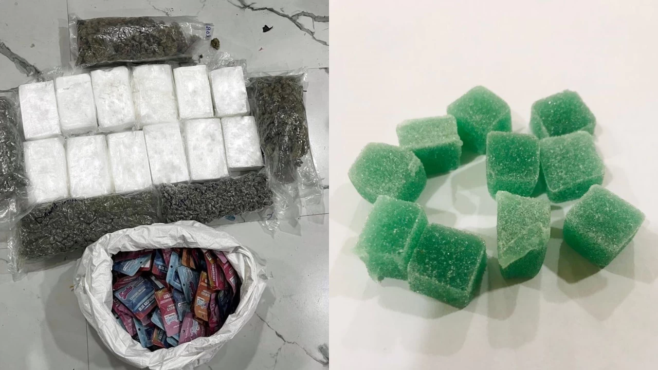 NCB Mumbai Busts Major Drug Syndicate, Seizes 200 Crore Worth of Cocaine, Hydroponic Weed, and Cannabis Gummies; Four Arrested